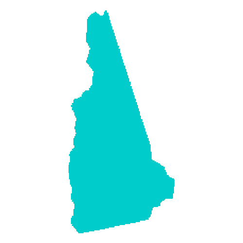 Map of New Hampshire highlighting healthcare