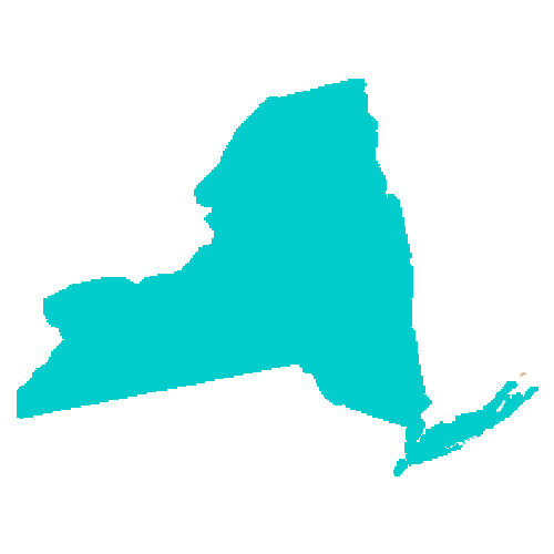Map of New York highlighting healthcare