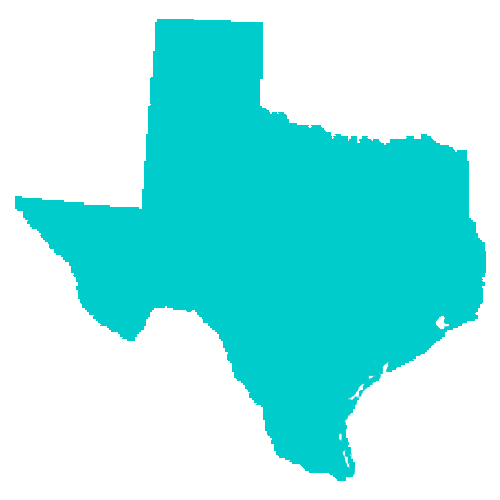 Map of Texas highlighting healthcare