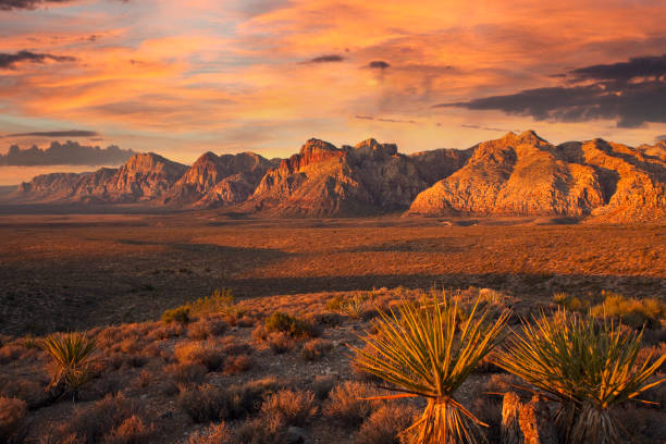 Nevada healthcare related image 2